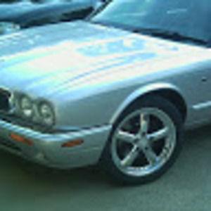 Meet your Posher, Roger